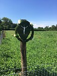 Wegkruis met bloemenveld!