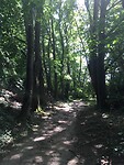 Wandelen is heel afwisselend in Limburg.