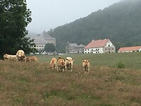 Zicht op Roncesvalles.