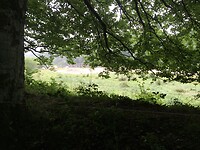 Zicht op de bordas die nu al jaren ongebruikt op het veld staan.