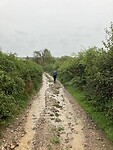 Modderpaden in de regen.