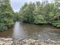 Rivier de Yonne.