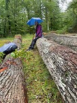 Koffiepauze in de regen!