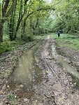 Lekker aanmodderen in het bos!
