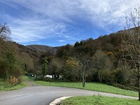 IMG_5433