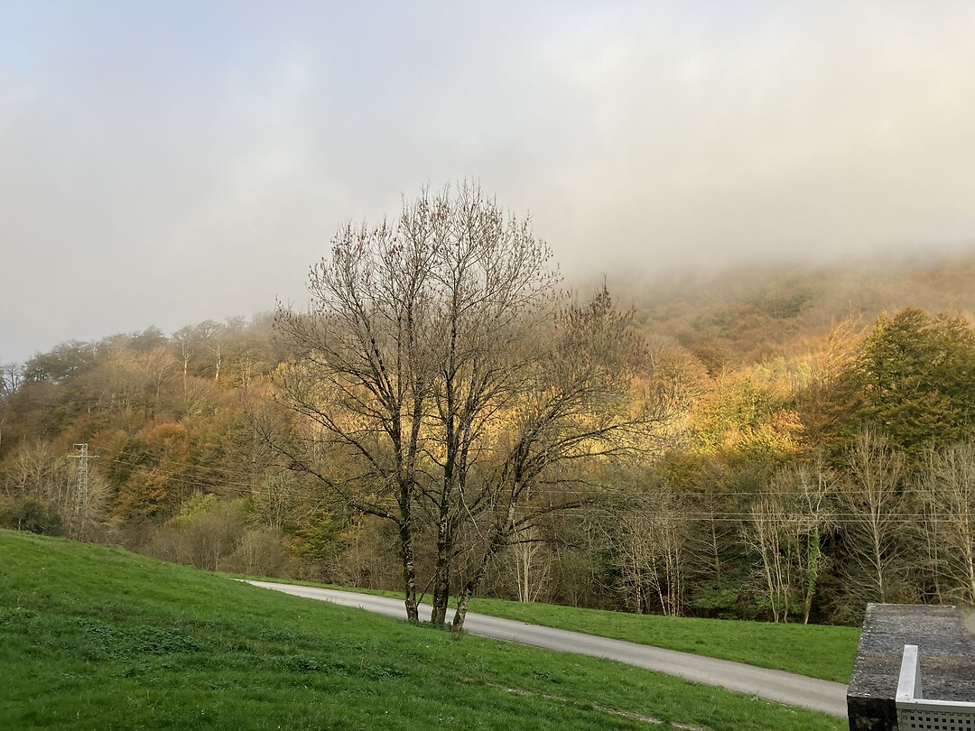 De mist komt opzetten vanaf de berg.