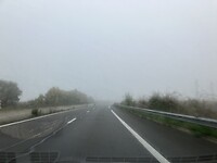 Mist in Feankrijk.