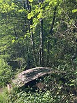 Bruggetje in het bos.
