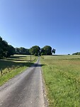 Rustig landweggetje waar we de ree gespot hebben!