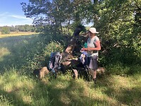 Een lekker picknickplekje onderweg in een bos.