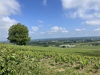 Terugblik op Bergerac