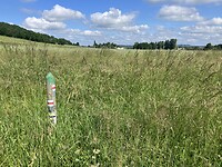 Richtingaanwijzer in het hoge gras