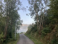 Zon en mist!