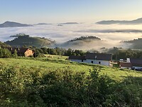 Langzaam verdwijnt de mist