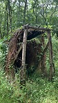 Een schuilhut voor de duivenvangst.