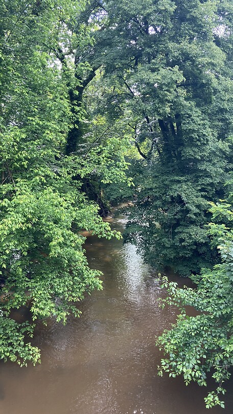 Rivier de Estampon.