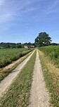 Opnieuw een lange rechte weg!