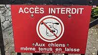 Verboden voor honden, zelfs als ze aangelijnd zijn.