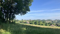 IMG_8221