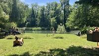IMG_8258