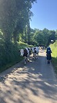 Koeien op de weg!