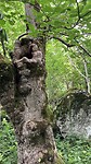 IMG_8788