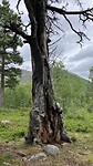 IMG_8877