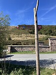 IMG_9232