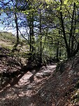 IMG_9233