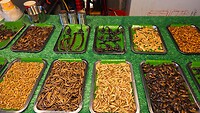 IMG_1925