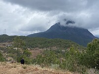 IMG_1951