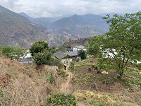 IMG_1954