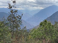 IMG_1953