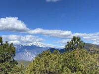 IMG_1972