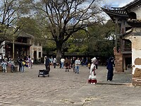 IMG_1993