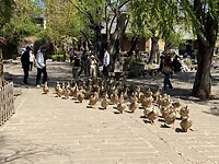 IMG_2005