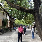 IMG_2010