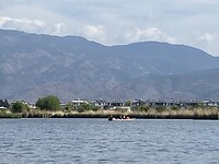 IMG_2029