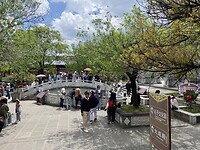 IMG_2075