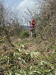 IMG_2121