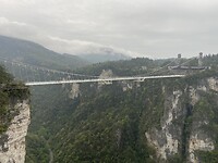 IMG_2220