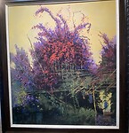 IMG_2256