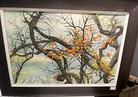 IMG_2259