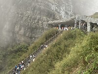 IMG_2235