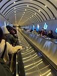 IMG_2242