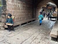 IMG_2320