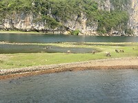IMG_2368