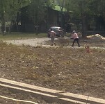 IMG_2442