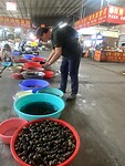 IMG_2460
