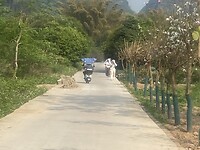 IMG_2443